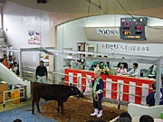 Ȭ�Ż��ǵ��ν鶥�ꡢ�������ʤι�ƭ�������ʤ���Ĵ